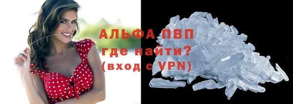 СК Инта