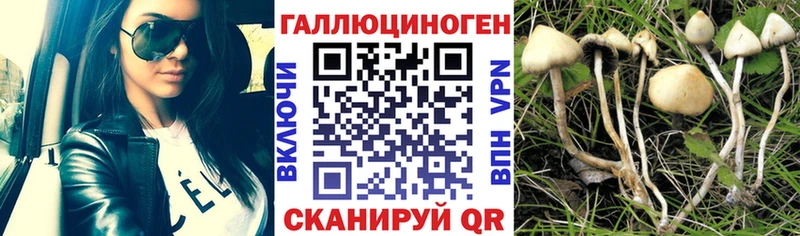 Галлюциногенные грибы GOLDEN TEACHER Лаишево