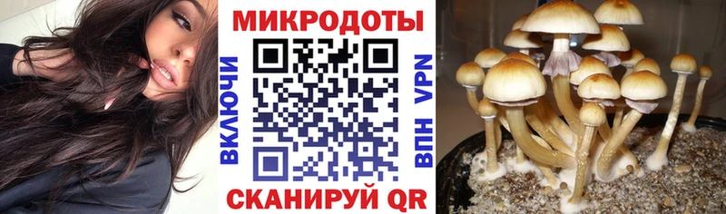 Купить где  Лаишево  Галлюциногенные грибы Magic Shrooms 